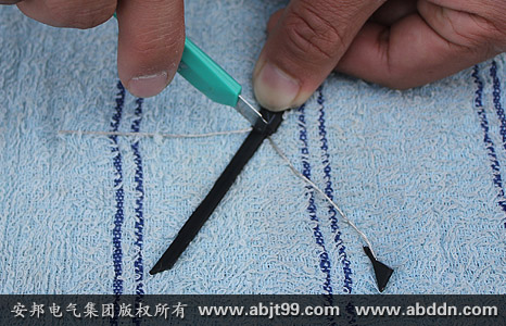 �����g�����PTC��������г�