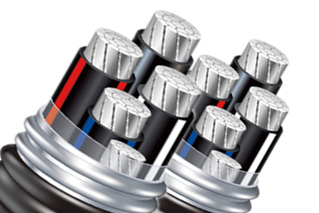 �͸ߜأ���ȼ�������|